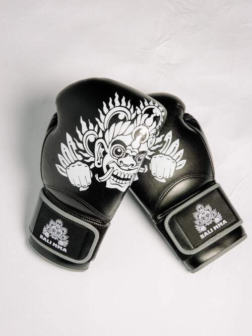 Hook Collab Boxing Gloves Hook Collab Boxing Gloves