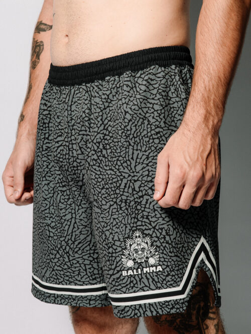 Hybrid Grey Cement 1 Hybrid Short "Grey Cement"