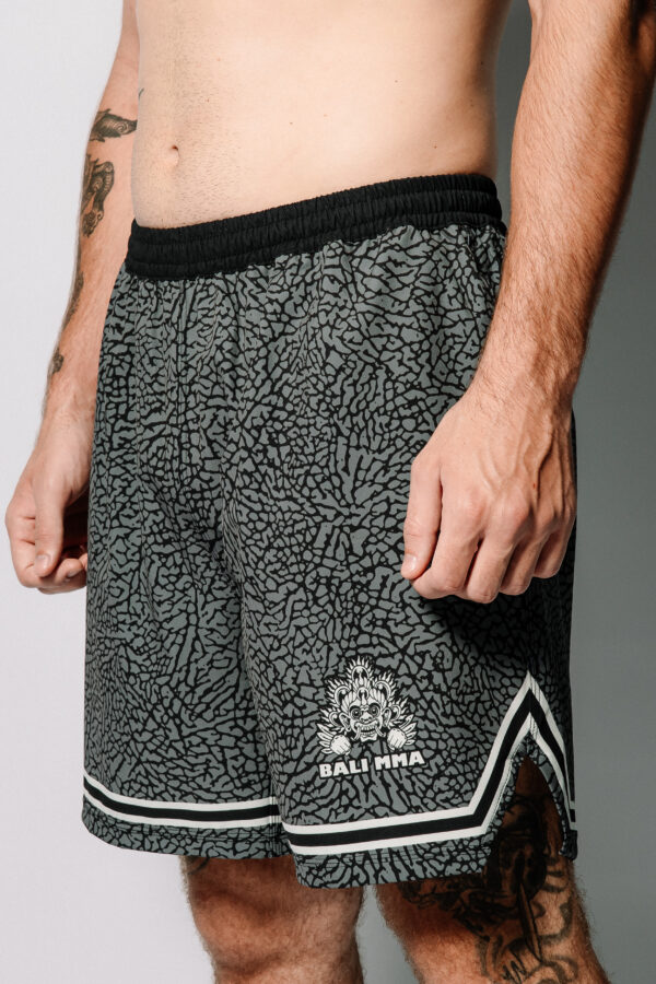 Hybrid Grey Cement 1 Hybrid Short "Grey Cement"