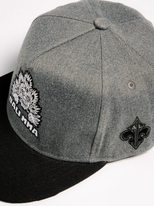 IVN_9937 Al Leone Collab SnapBack - Grey