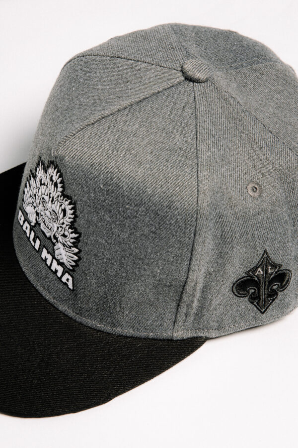 IVN_9937 Al Leone Collab SnapBack - Grey