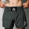 Muay Thai Grey Cement Muay Thai Short "Grey Cement"